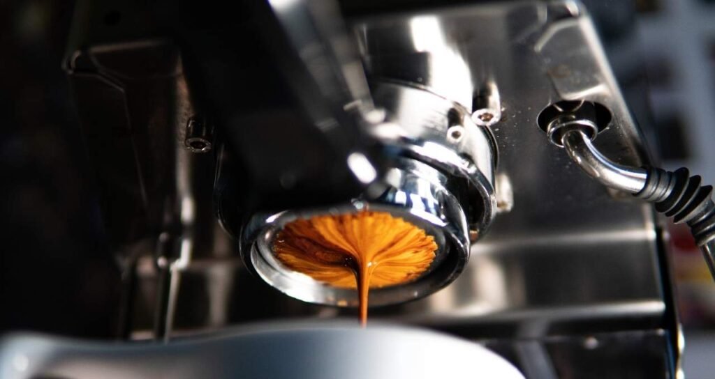 coffee machine heating element (21)