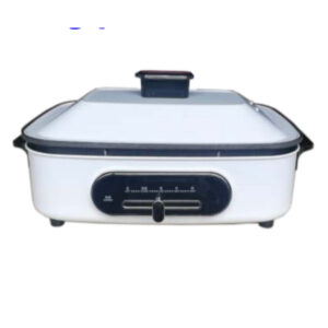 Electric hot pot